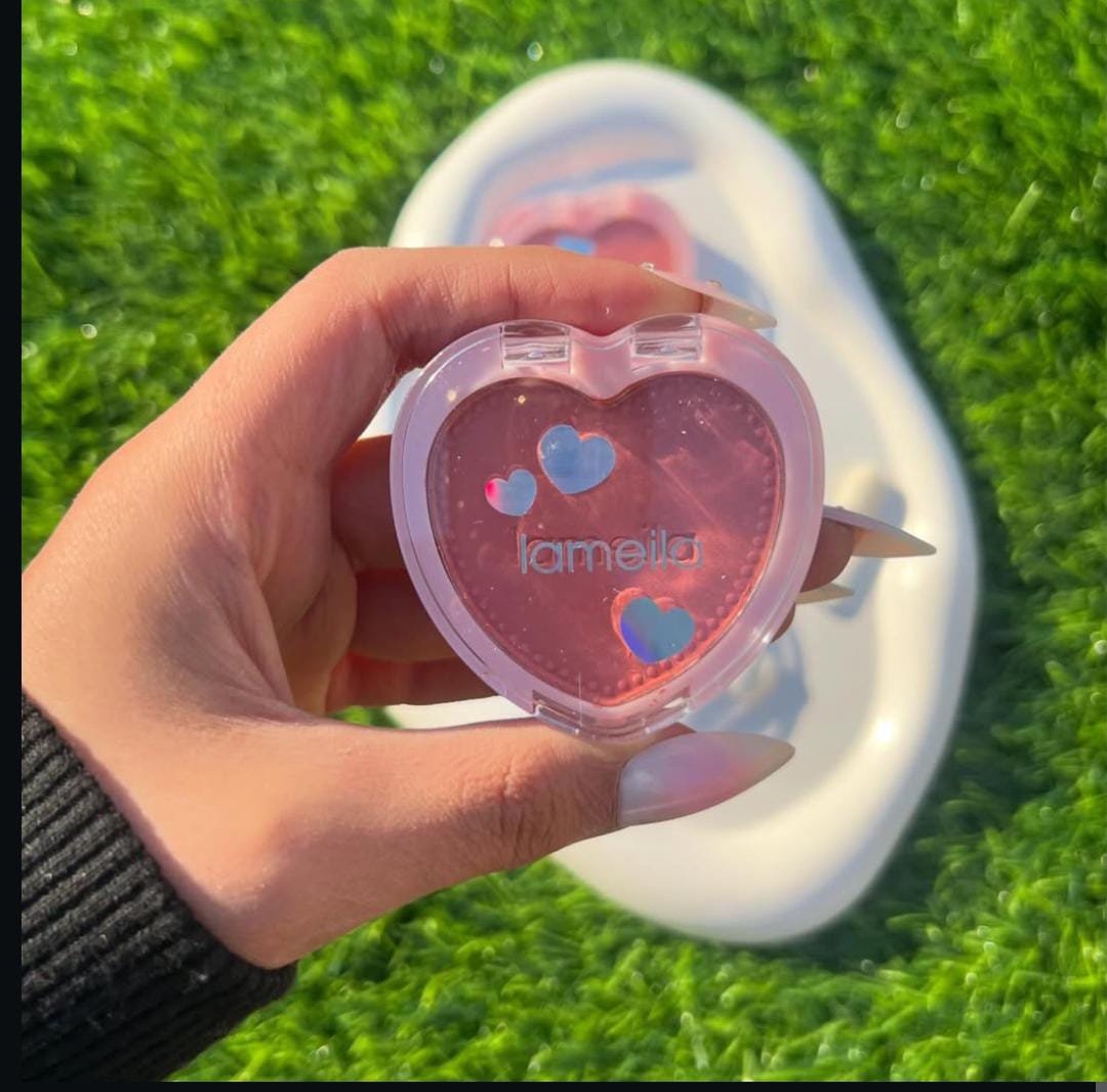 Lameila FT Colour Powder Blush set of 4