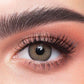 DAHAB Gold Collection Contect Lense (Daily )