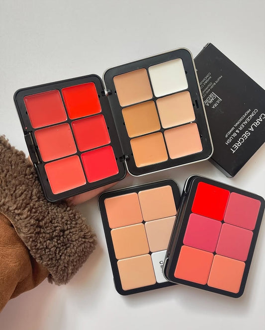 Ultra Garla Secret Blush & Concealer Palette - 6 in 1 Invisible Coverage