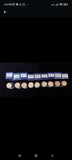 TV PAint Sticks (A+copy)