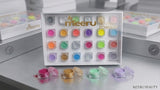 Meeru 3D Glitter Powder Set – 24 Pots