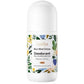 Sadoer Blue Wind Chimes Roll-On Deodorant 50ml – Antiperspirant Perfume Aroma Body Dew