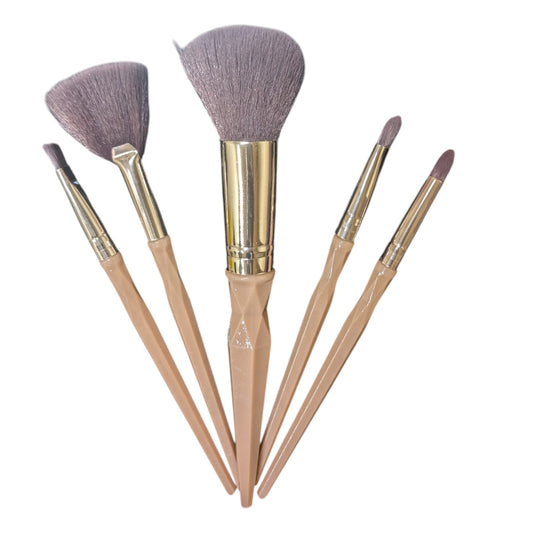 Makeup Brushes Set of 5 Pouch Pack.
